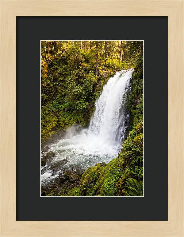 Bushkill Falls Serenity