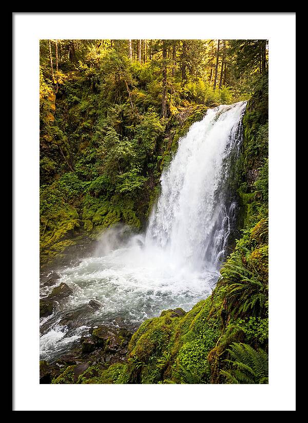 Bushkill Falls Serenity