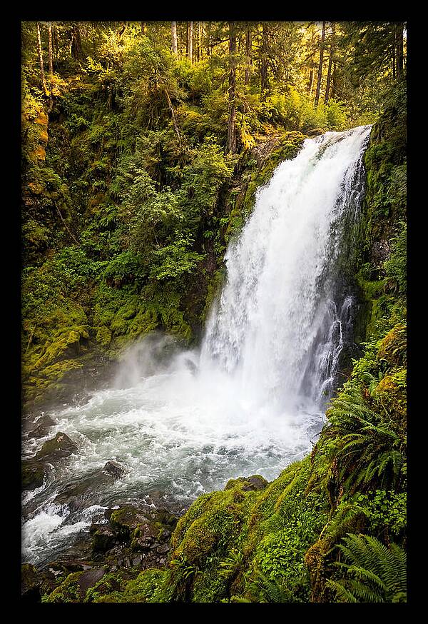 Bushkill Falls Serenity