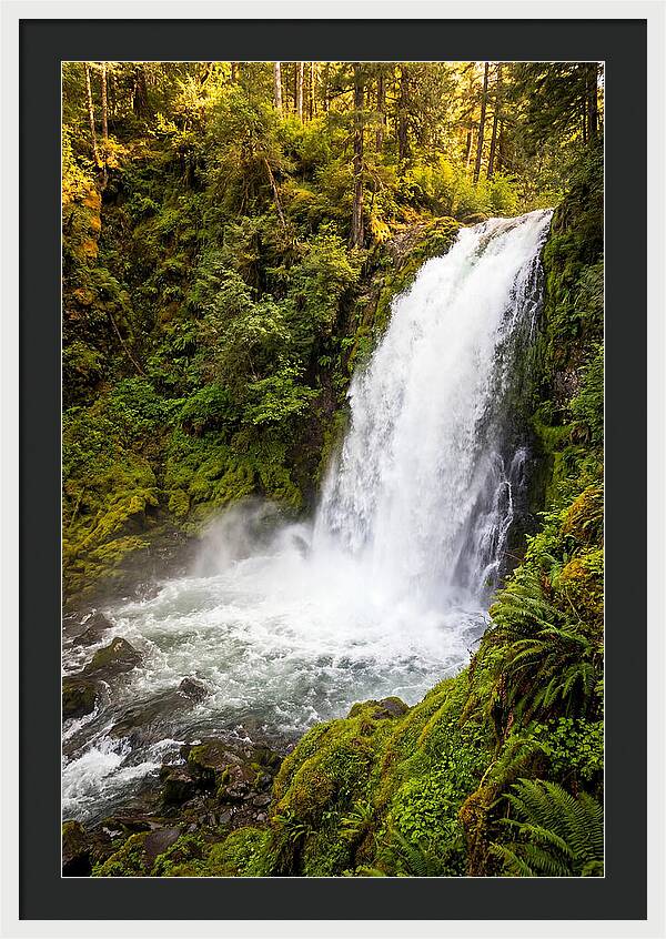 Bushkill Falls Serenity