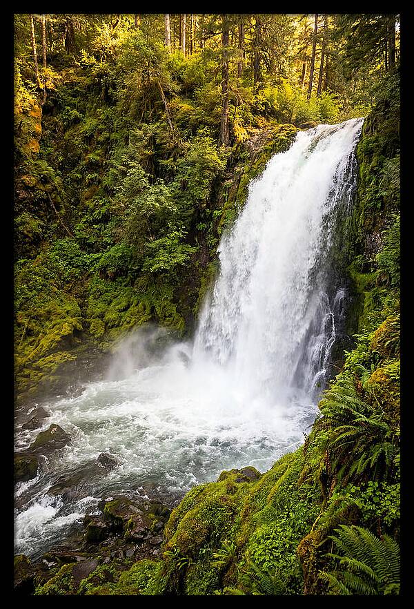 Bushkill Falls Serenity