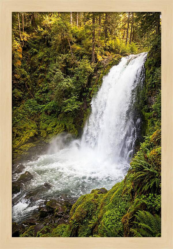 Bushkill Falls Serenity