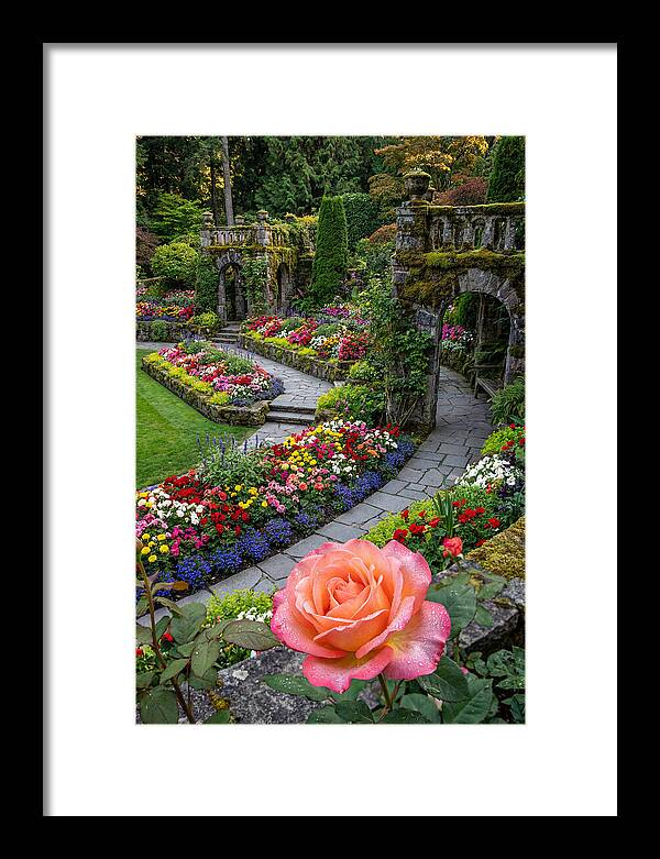 Butchart Gardens Tranquility