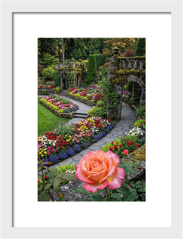 Butchart Gardens Tranquility