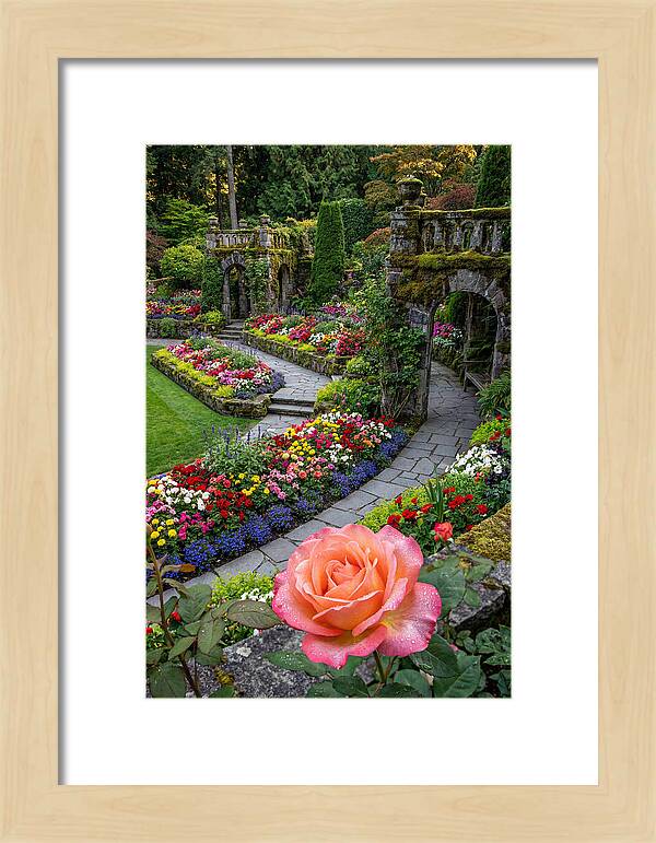 Butchart Gardens Tranquility