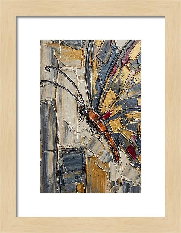 Butterfly In Textured Splendor