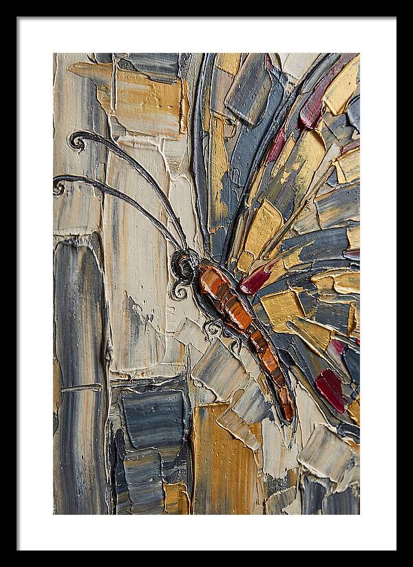 Butterfly In Textured Splendor