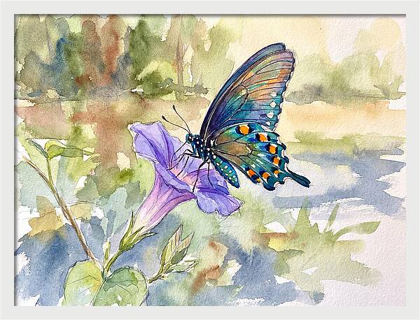 Butterfly On Blooming Flower