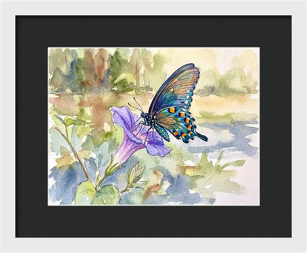 Butterfly On Blooming Flower