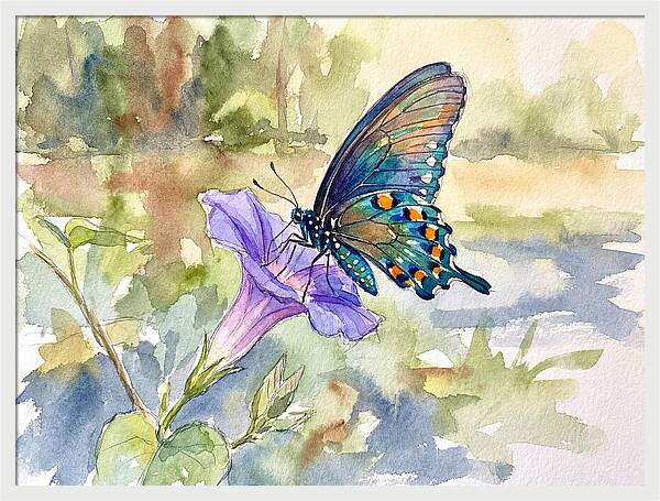 Butterfly On Blooming Flower