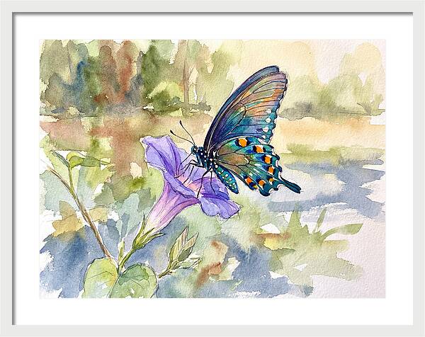 Butterfly On Blooming Flower