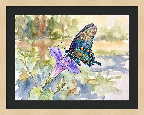 Butterfly On Blooming Flower