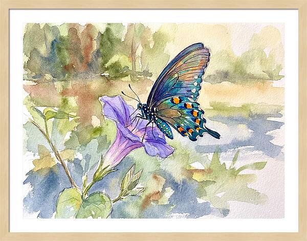 Butterfly On Blooming Flower