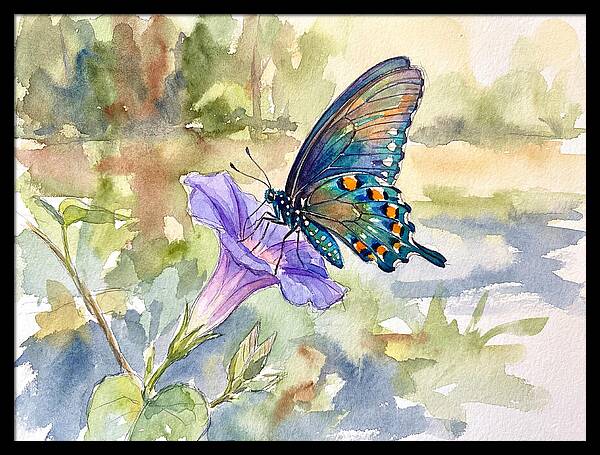 Butterfly On Blooming Flower