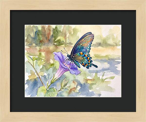 Butterfly On Blooming Flower