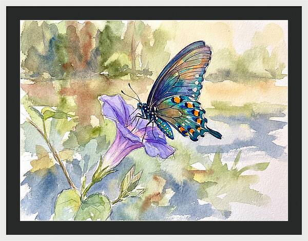 Butterfly On Blooming Flower