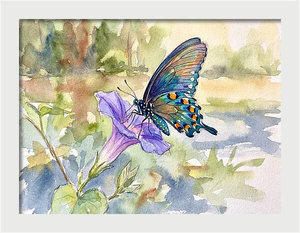 Butterfly On Blooming Flower