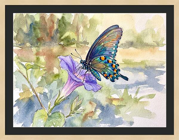 Butterfly On Blooming Flower