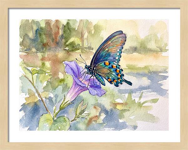 Butterfly On Blooming Flower