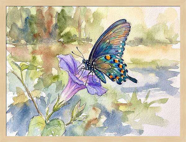 Butterfly On Blooming Flower
