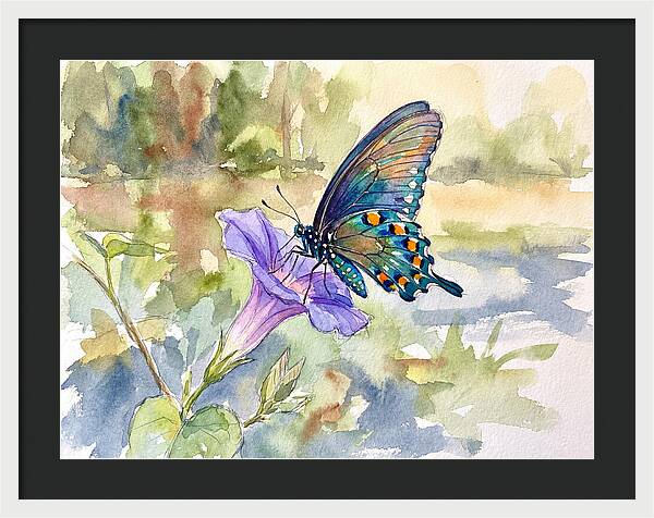 Butterfly On Blooming Flower