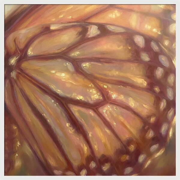 Butterfly Wings