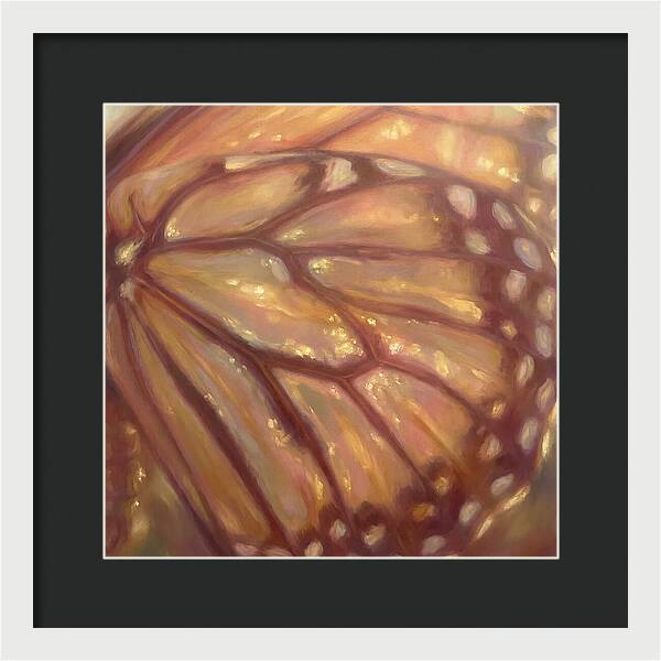 Butterfly Wings