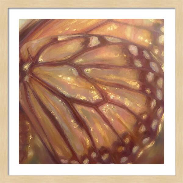 Butterfly Wings