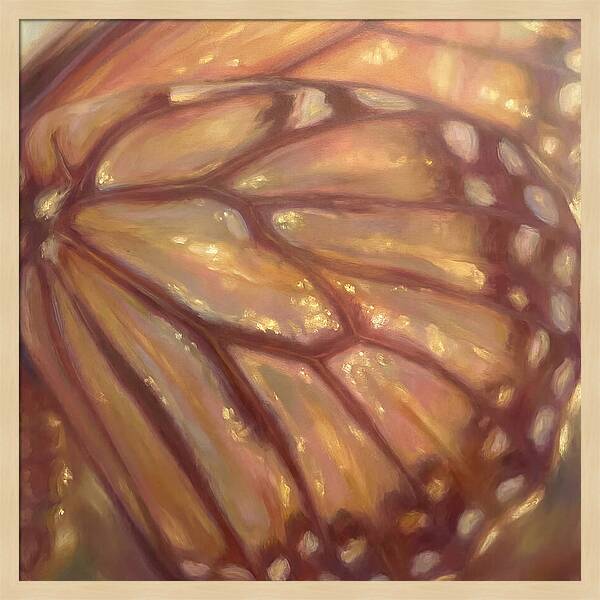 Butterfly Wings