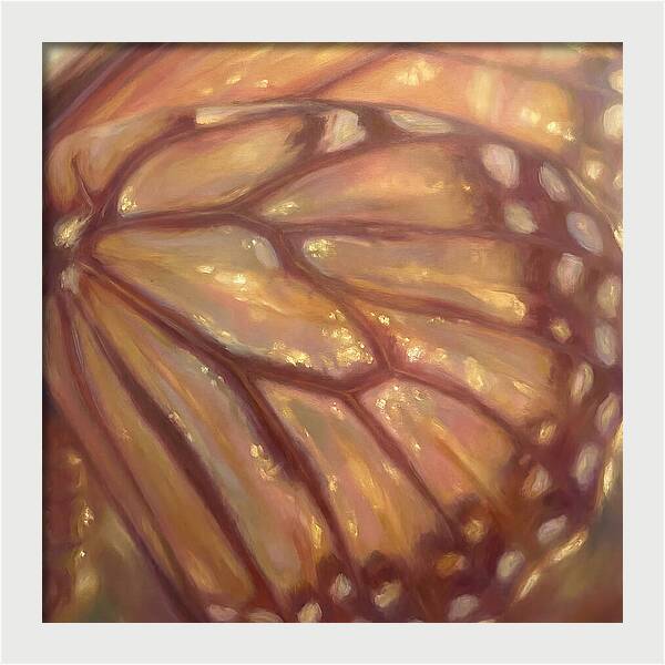 Butterfly Wings