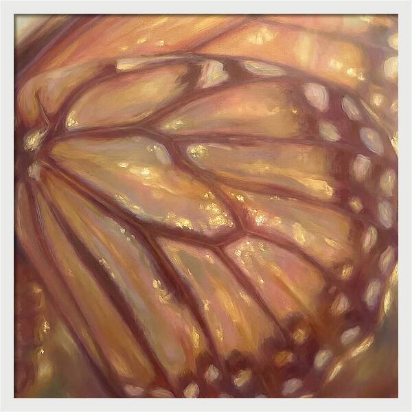 Butterfly Wings