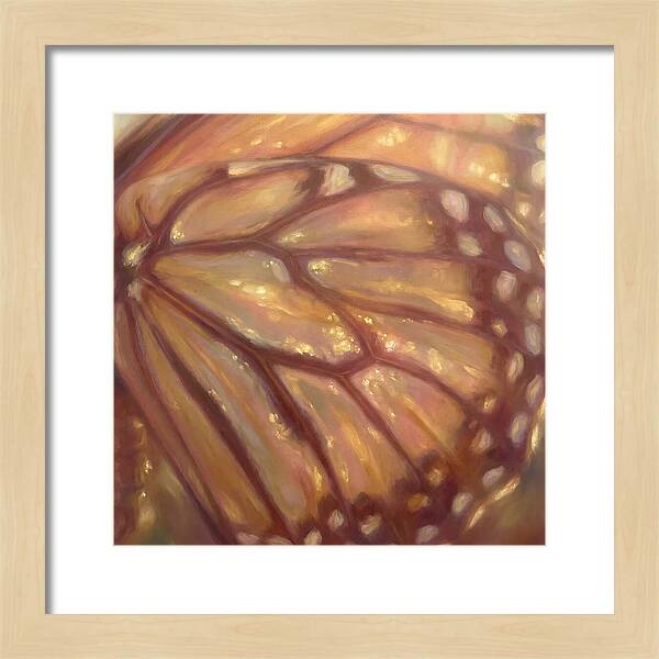 Butterfly Wings