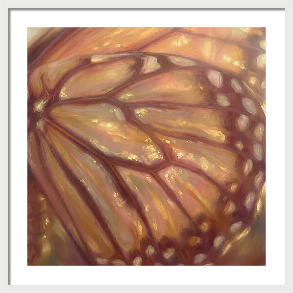 Butterfly Wings