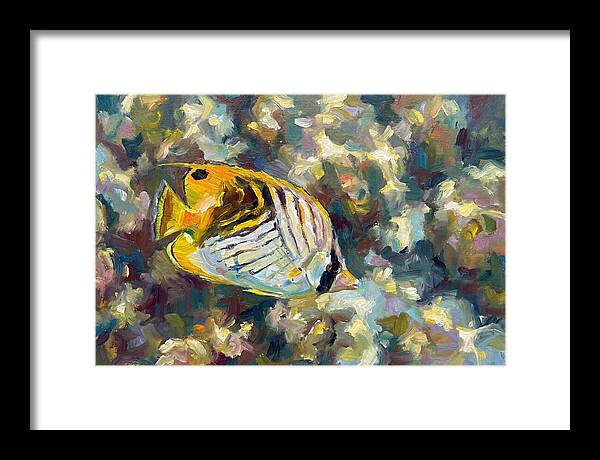 Butterflyfish Among Coral