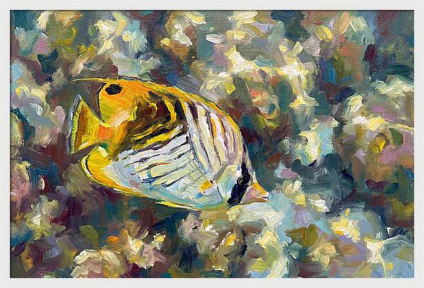 Butterflyfish Among Coral