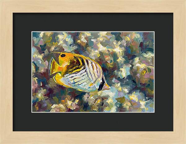 Butterflyfish Among Coral