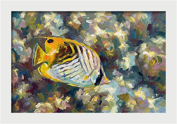 Butterflyfish Among Coral