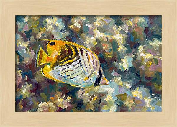 Butterflyfish Among Coral