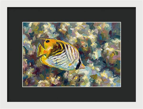 Butterflyfish Among Coral