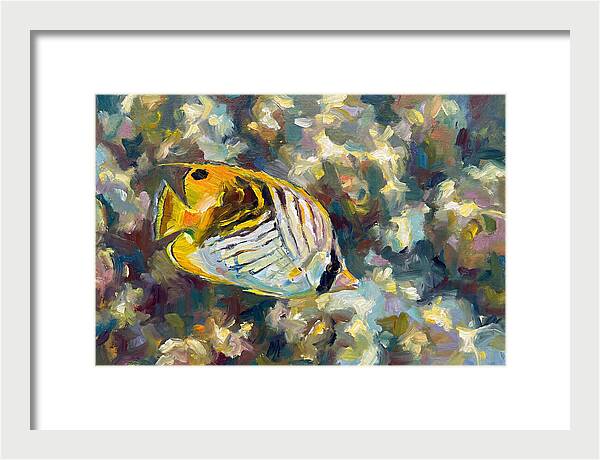 Butterflyfish Among Coral