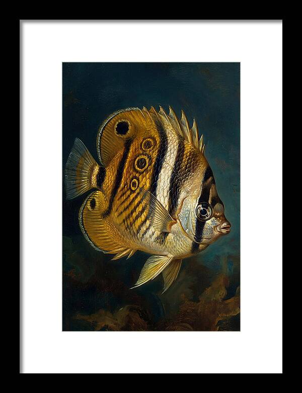 Butterflyfish In Vibrant Detail