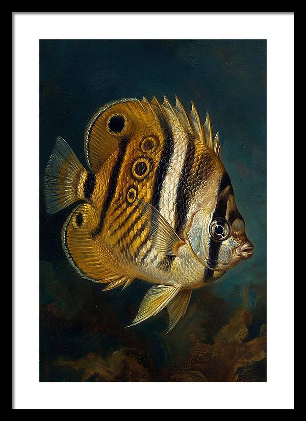 Butterflyfish In Vibrant Detail