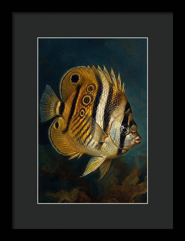 Butterflyfish In Vibrant Detail