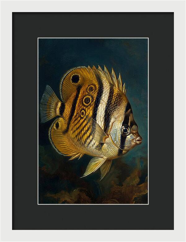 Butterflyfish In Vibrant Detail