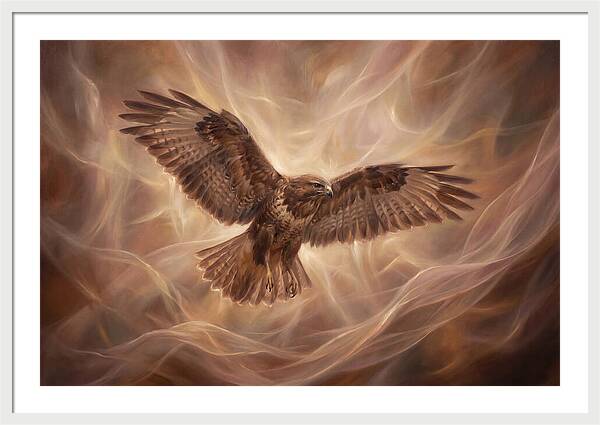 Buzzard In Flight
