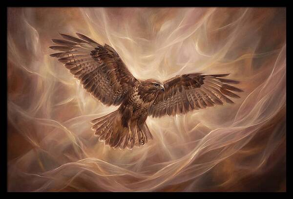 Buzzard In Flight