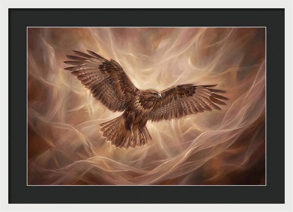 Buzzard In Flight