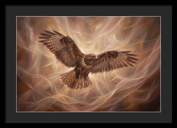 Buzzard In Flight