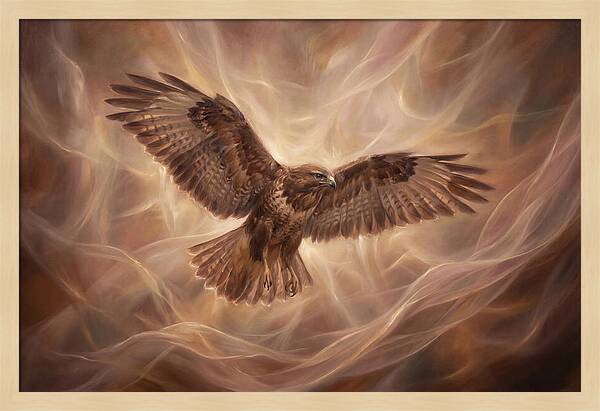 Buzzard In Flight