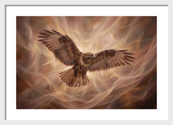Buzzard In Flight